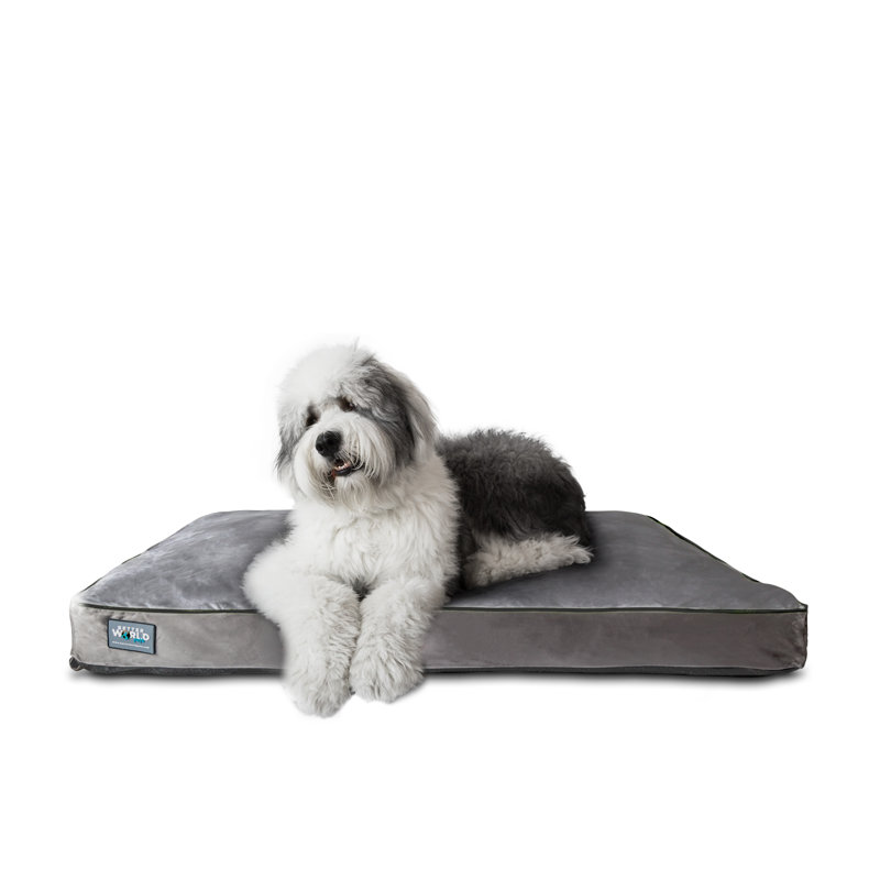 BetterWorldPets Better World Pets Orthopedic Polyester Pet Bed & Reviews Wayfair